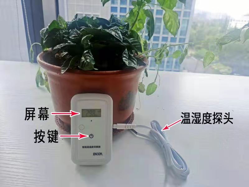 產品圖片